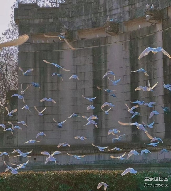 【夏日炎炎】悠閑一天