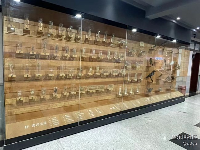 【捕捉夏日美好】參觀學(xué)校