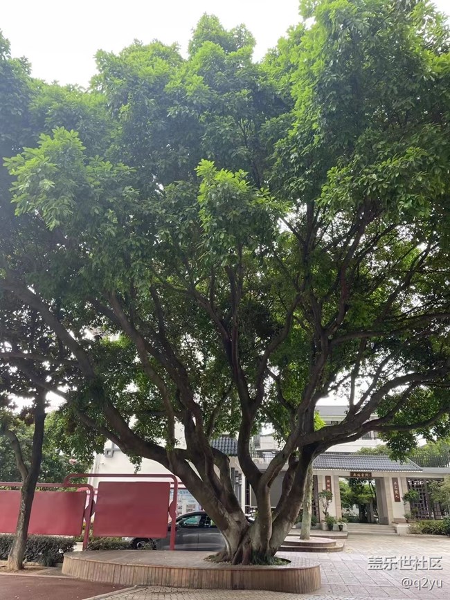 【捕捉夏日美好】參觀學(xué)校