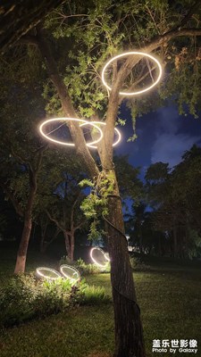 一張夜景