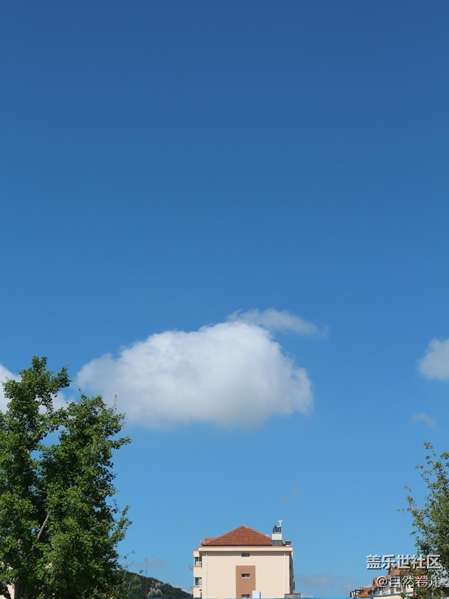 【捕捉夏日美好】昨日晴空