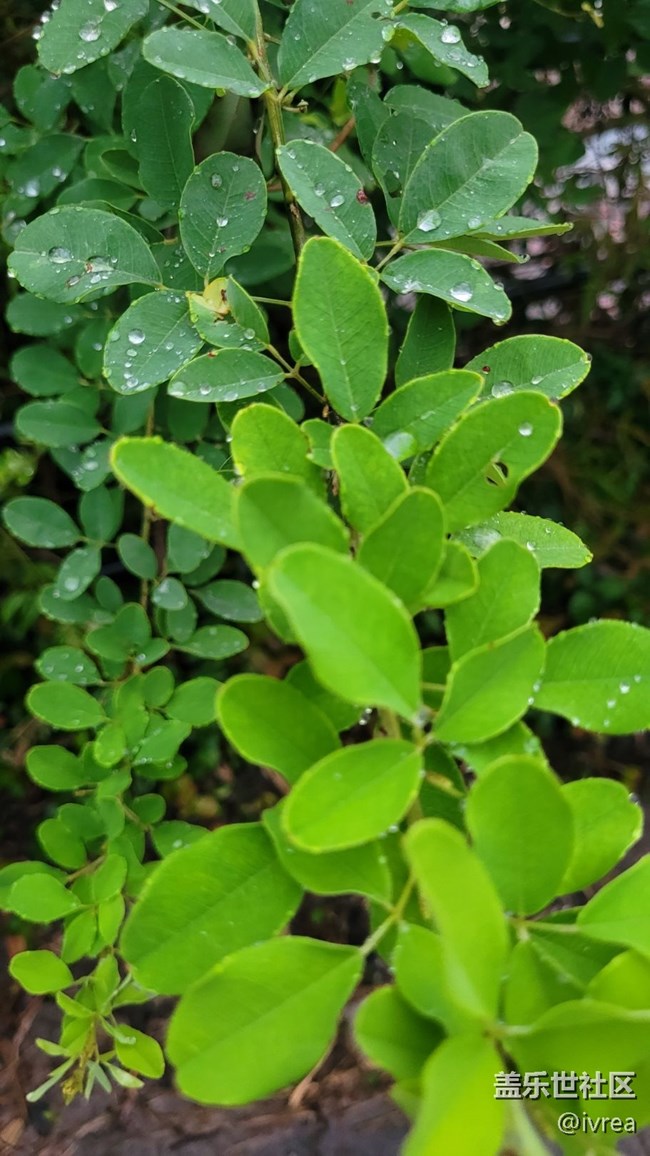 【夏日炎炎】午后