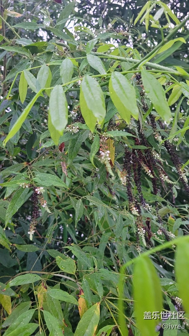 【夏日炎炎】午后