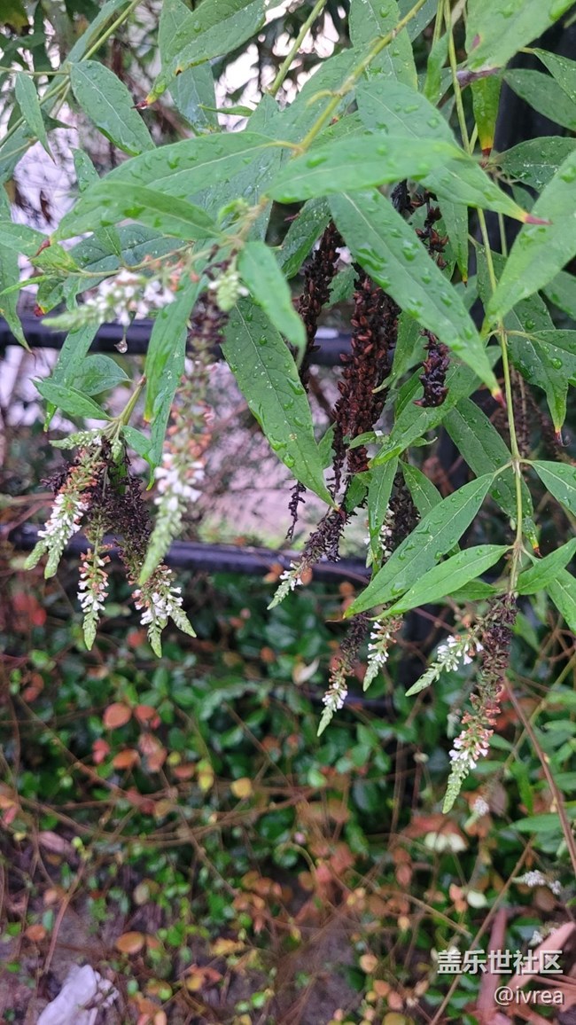 【夏日炎炎】午后