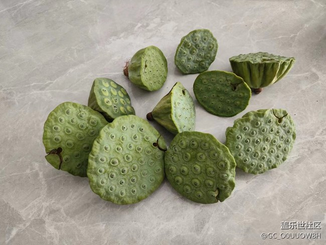 【夏日炎炎】荷塘摘蓮子