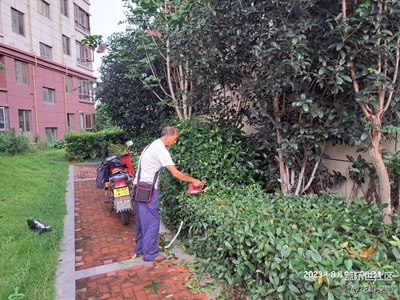小區(qū)修剪綠籬