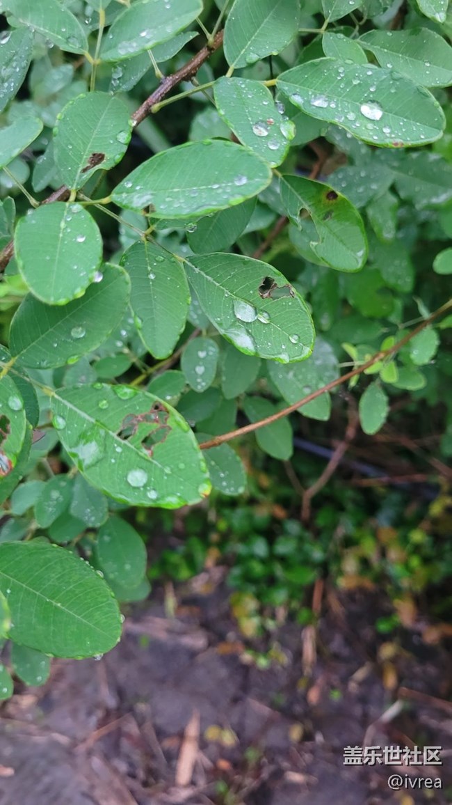 【夏日炎炎】午后