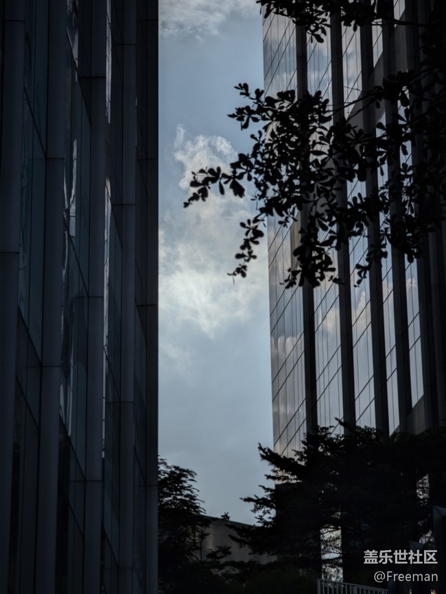 【尋一份美好】發(fā)現(xiàn)美 | 記錄美