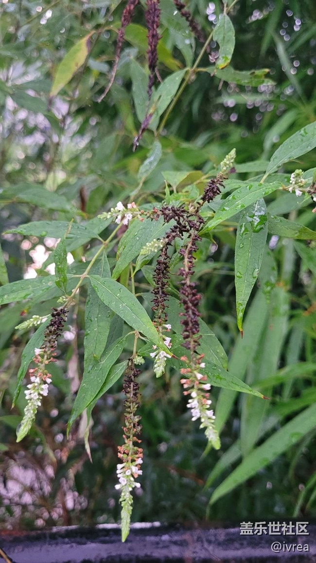 【夏日炎炎】午后