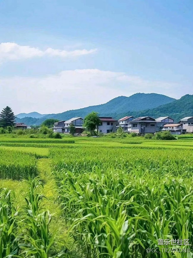 【捕捉夏日美好】綠色