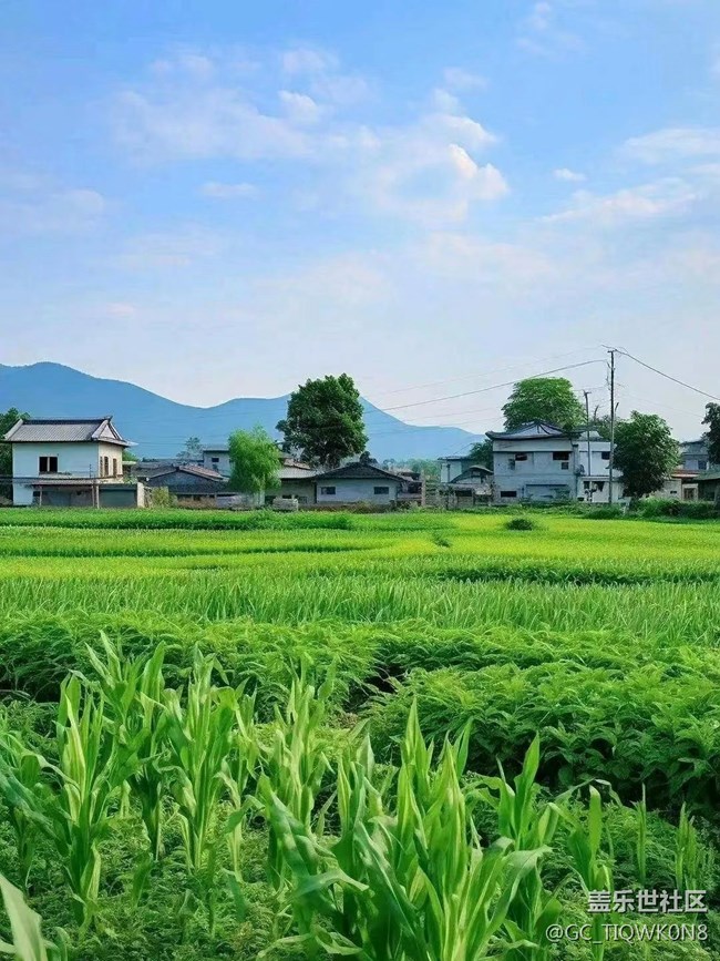 【捕捉夏日美好】綠色