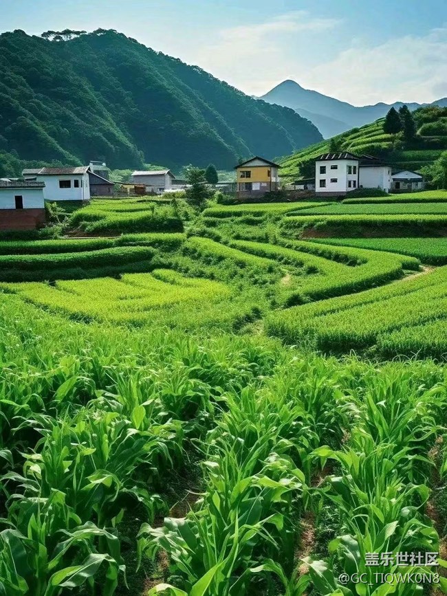 【捕捉夏日美好】綠色