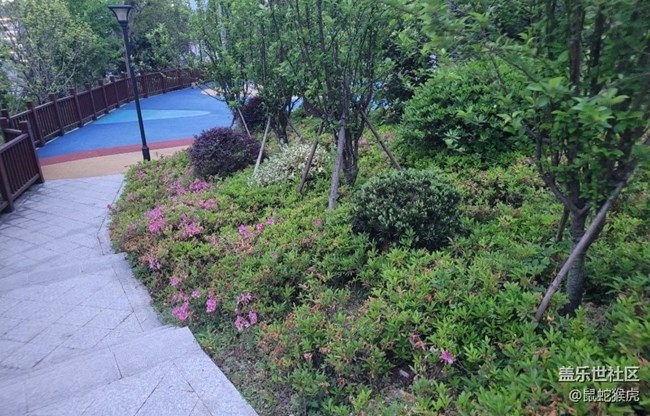 【夏日炎炎】公園