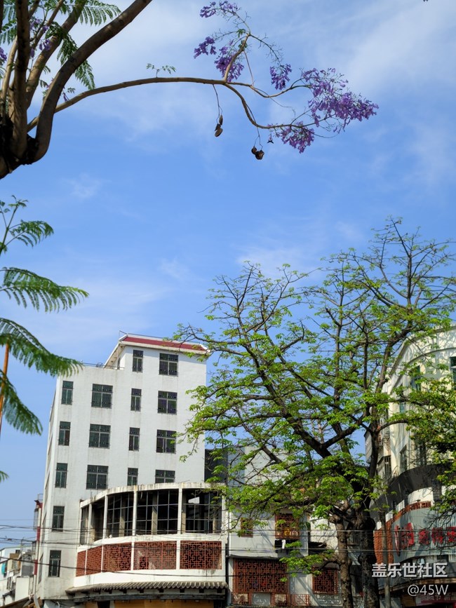 【那年初秋】賞秋花