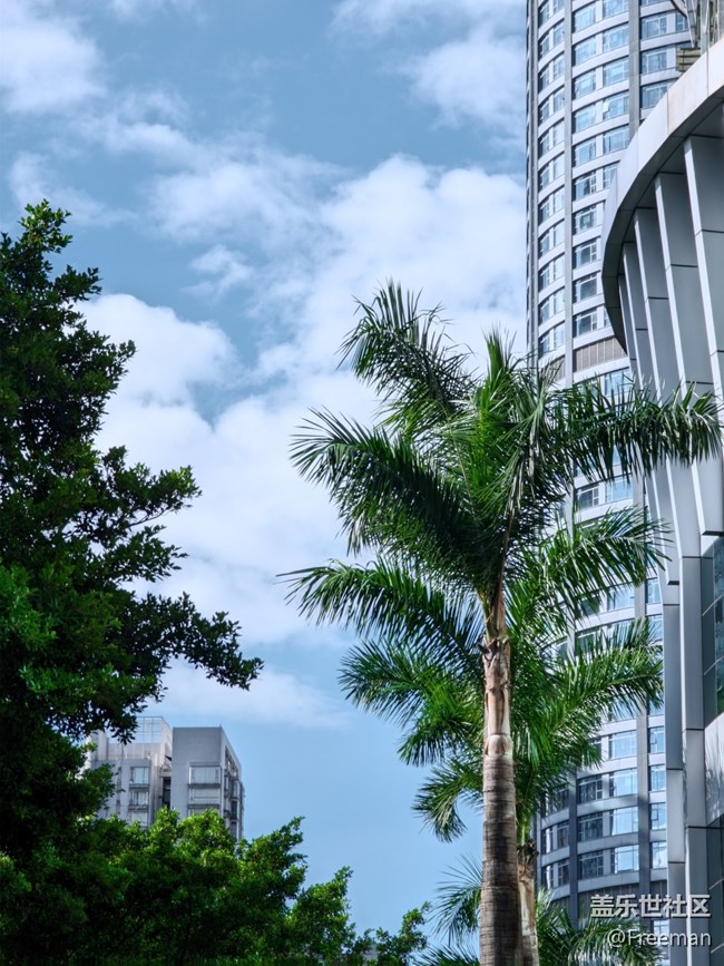 【長焦距下的城市之美】眺望建筑頂端