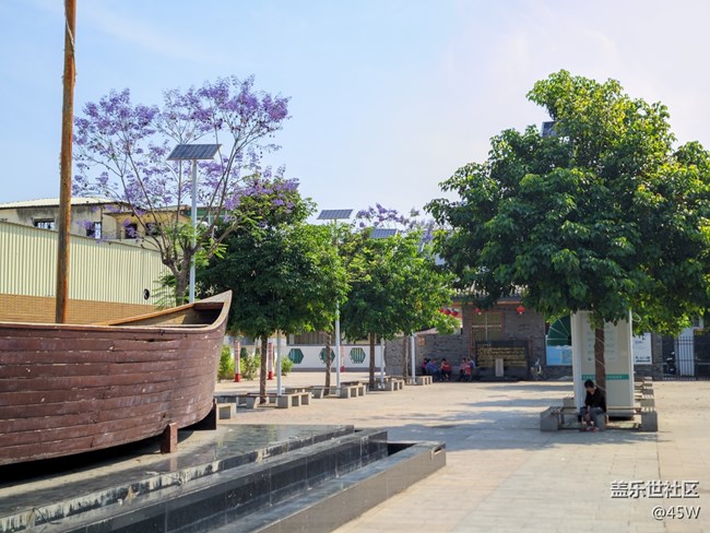 【那年初秋】賞秋花