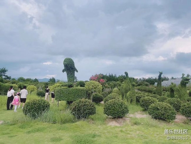 【尋一份美好】火龍果