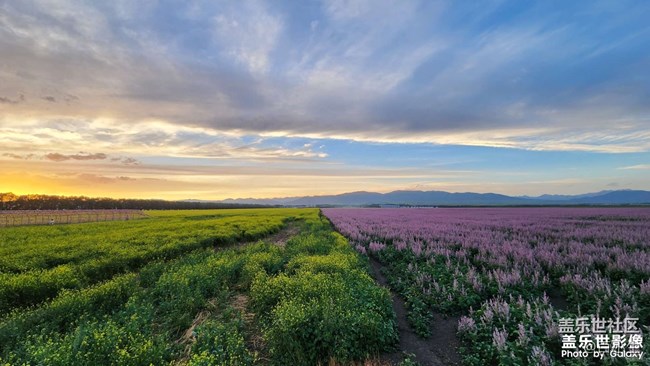 《精品大咖秀》 第九期：你的Spen用得多么？