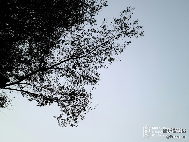 【會說話的照片】悄無聲息