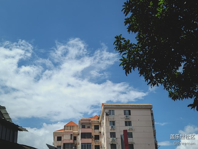 【捕捉身邊的美】自然的色彩