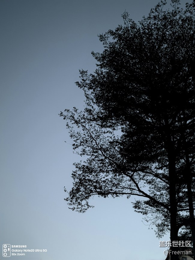 【會說話的照片】悄無聲息