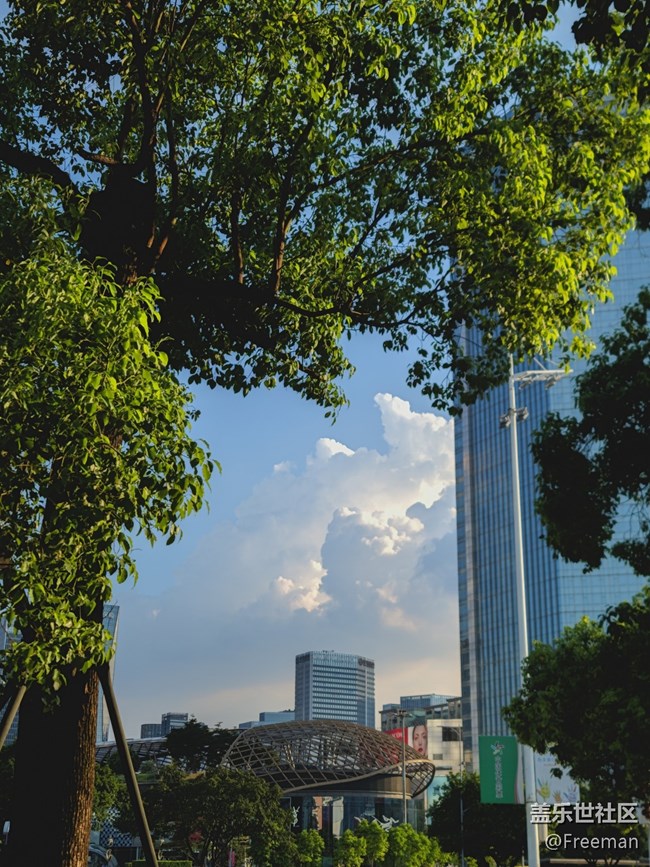 【捕捉夏日美好】涼爽和寧靜