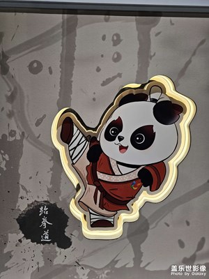 【分享美好】功夫熊貓
