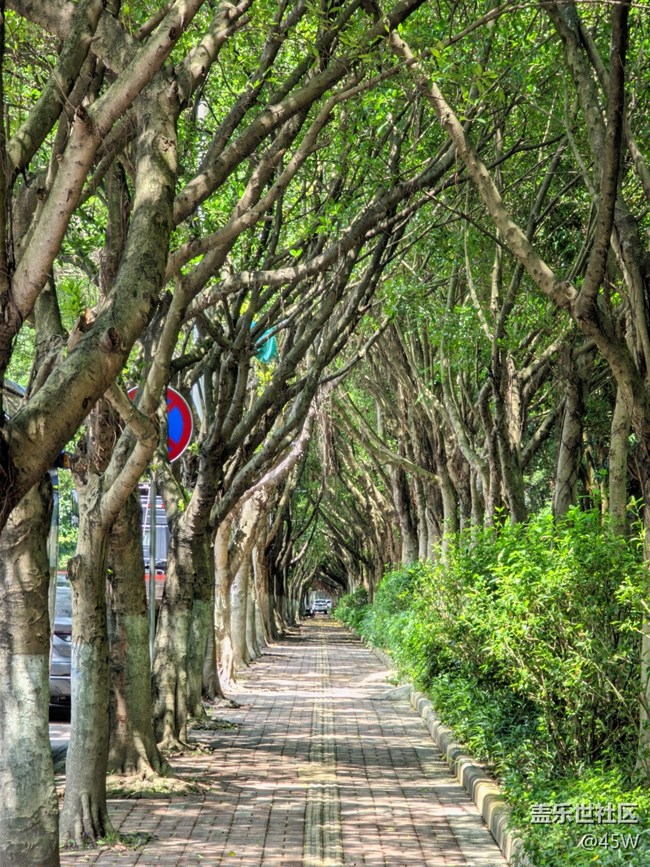 【會(huì)說話的照片】高溫