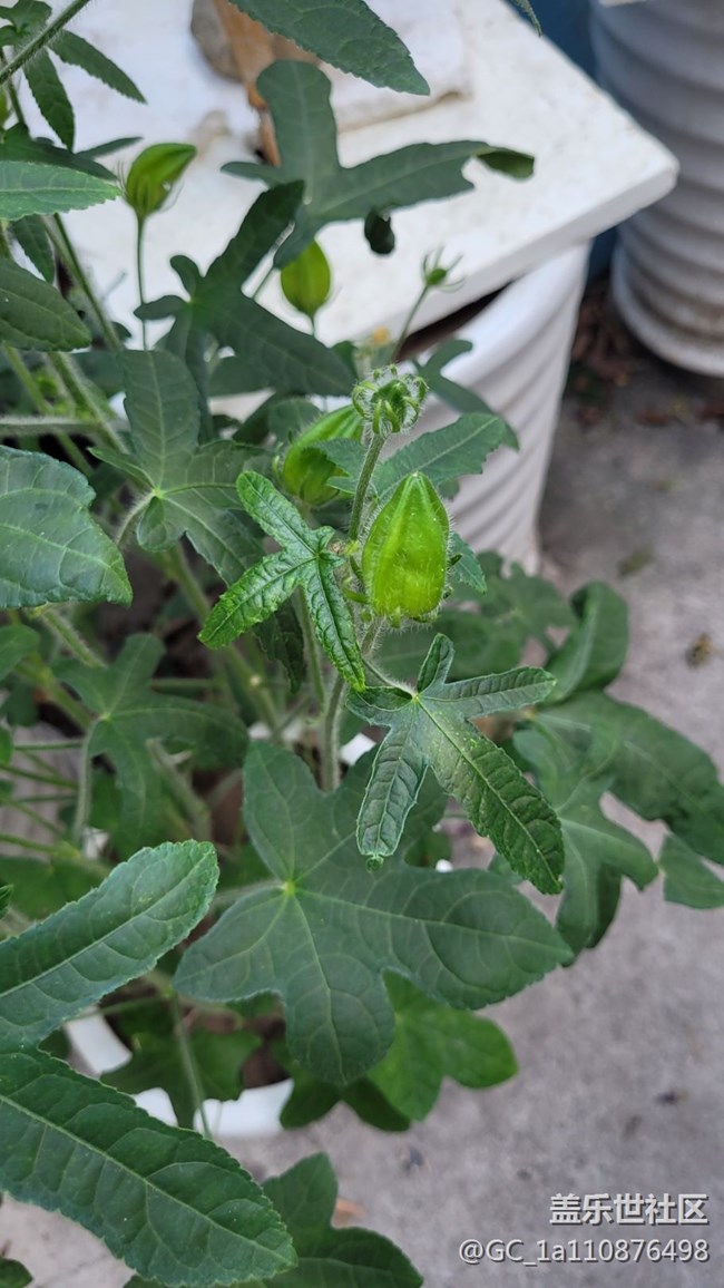 【那年初秋】秋季