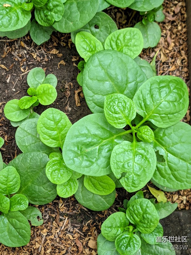 【那年初秋】初長成 | 收獲