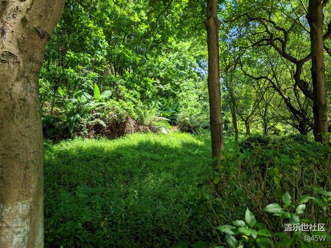 【會(huì)說話的照片】高溫