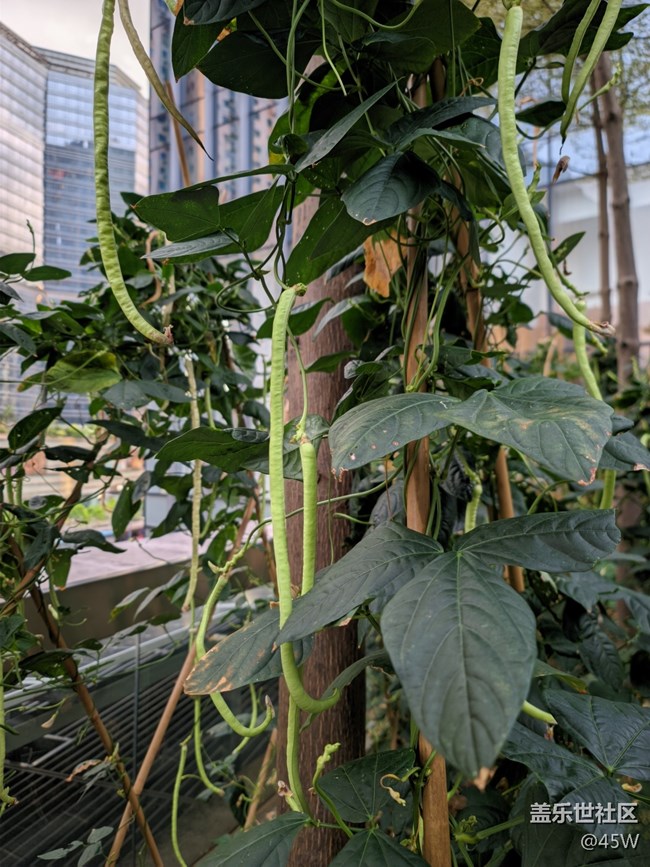 【那年初秋】初長成 | 收獲