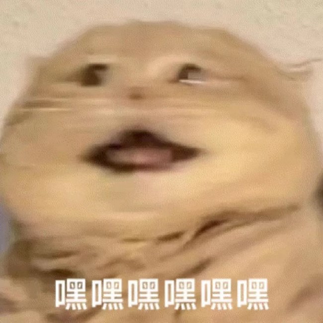 《菜鳥(niǎo)小忍者》新手指南