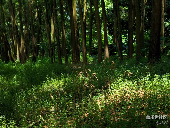 【會(huì)說話的照片】高溫