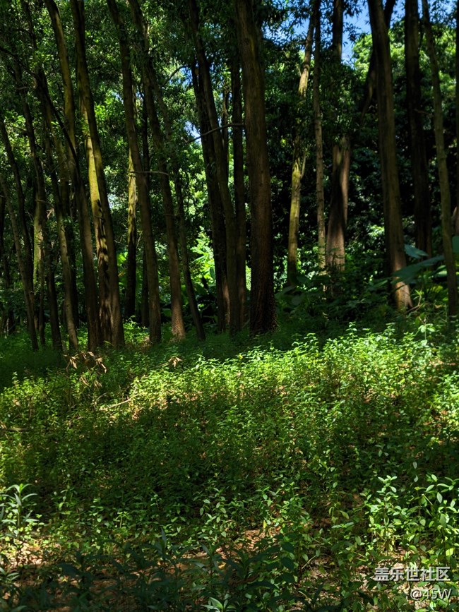 【會(huì)說話的照片】高溫