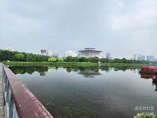 【捕捉夏日美好】蘆葦蕩荷花叢