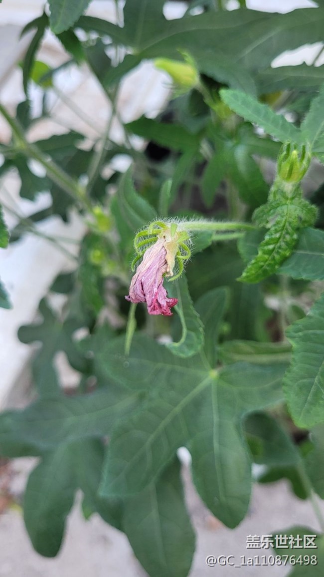 【那年初秋】秋季