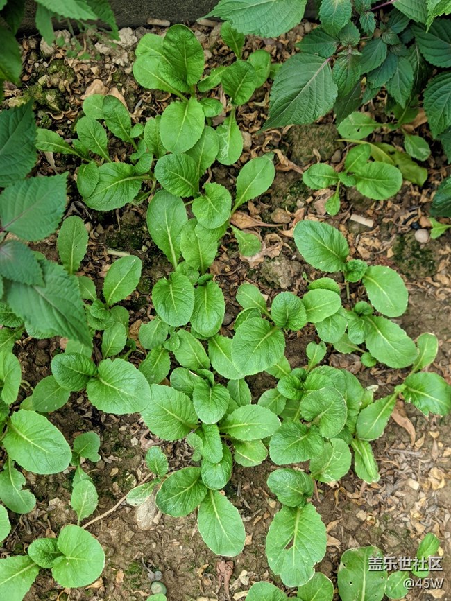 【那年初秋】初長成 | 收獲