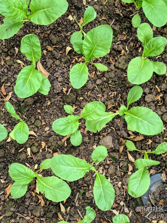 【那年初秋】初長成 | 收獲