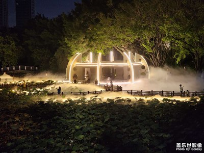 公園一角