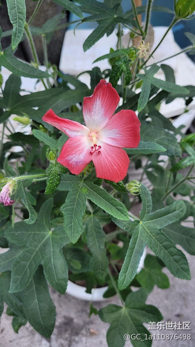 【那年初秋】秋季