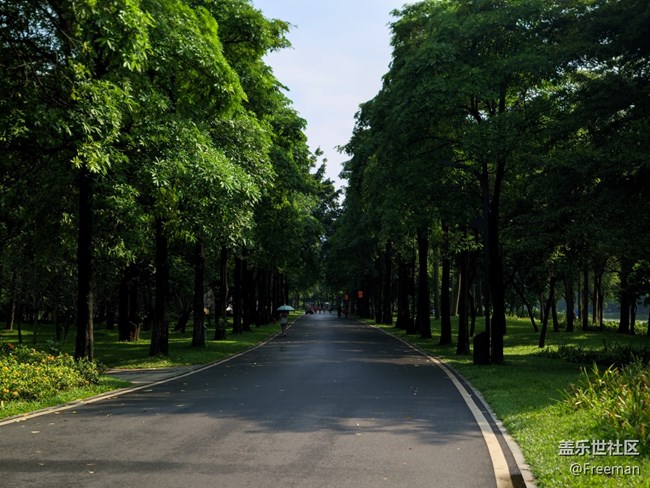 【尋一份美好】叢叢蔥蘢 | 清新宜人