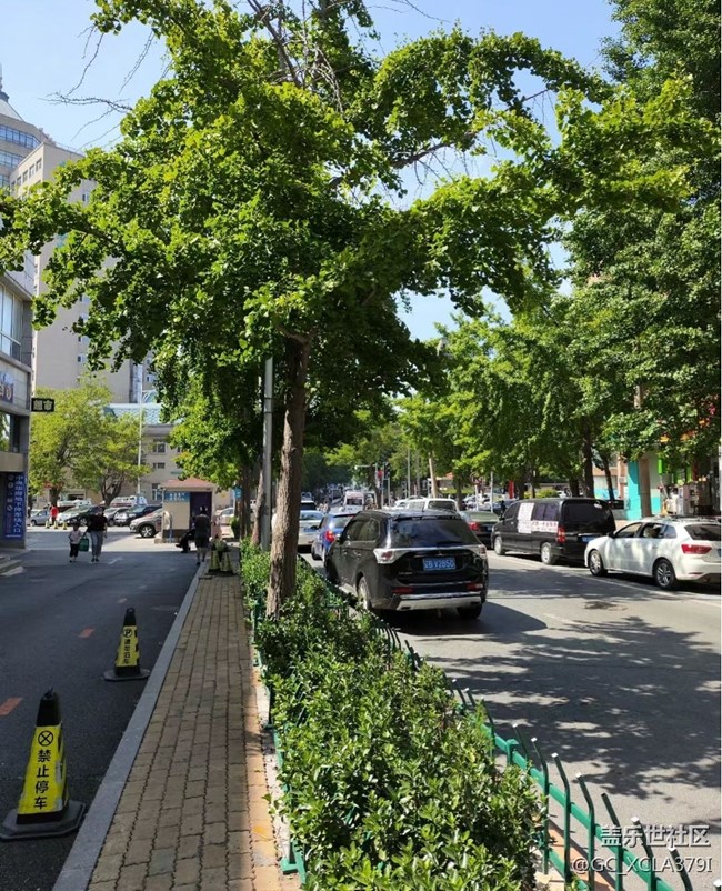 【街景】隨手拍