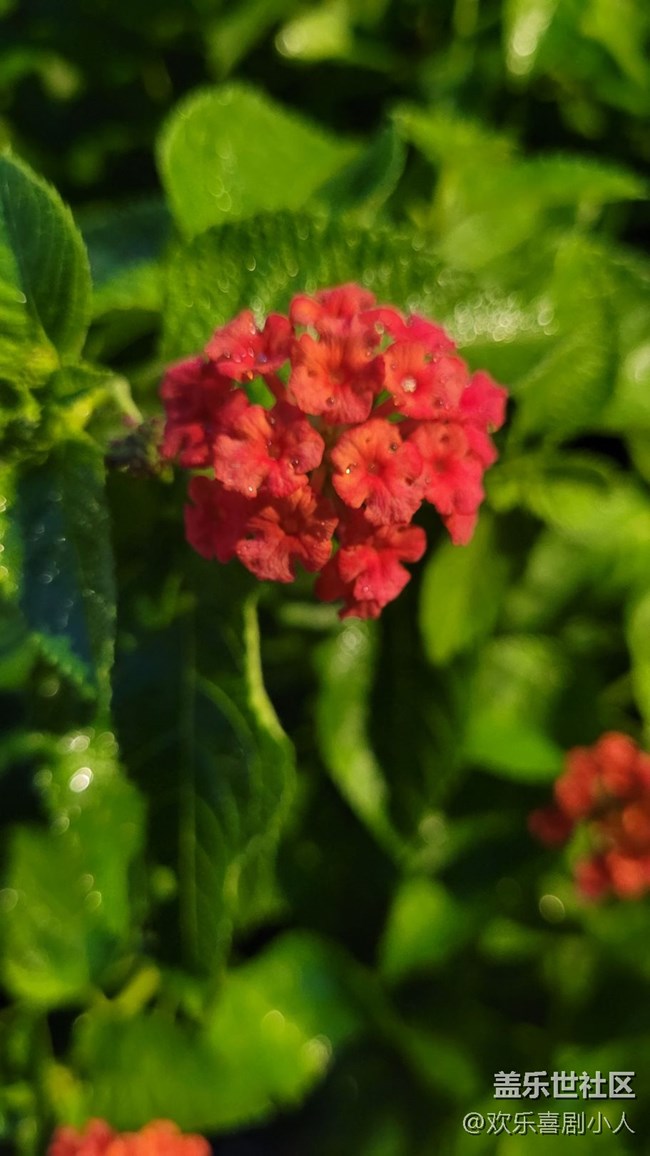 #我喜歡的攝影模式——夜拍模式