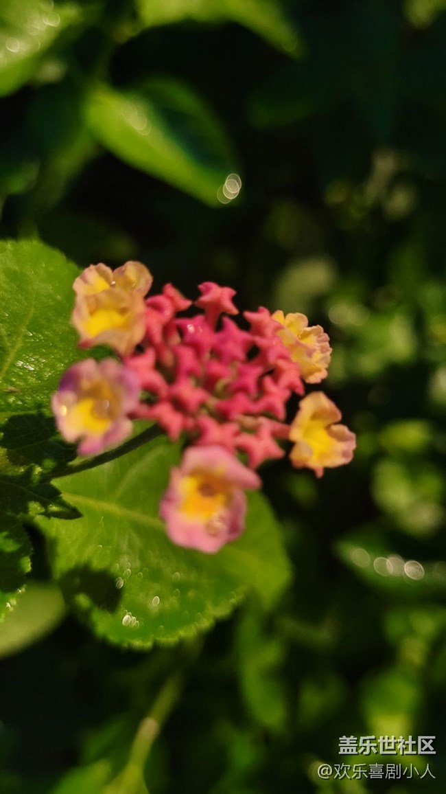 #我喜歡的攝影模式——夜拍模式