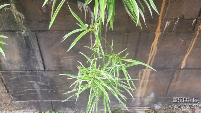 【那年初秋】小巷子