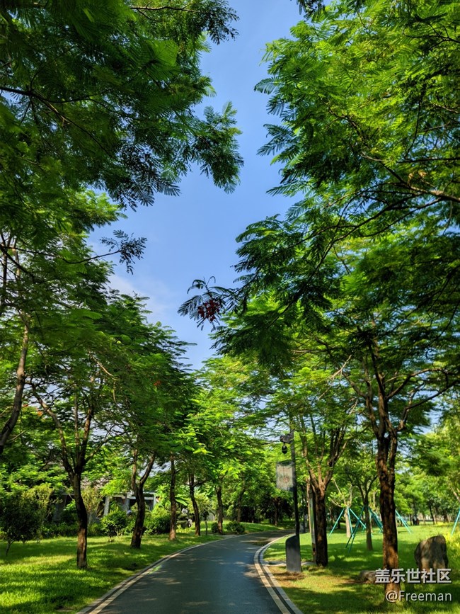 【尋一份美好】叢叢蔥蘢 | 清新宜人