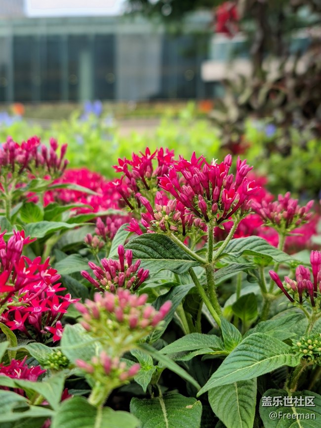 【長(zhǎng)焦距下的城市之美】不同角度看城市