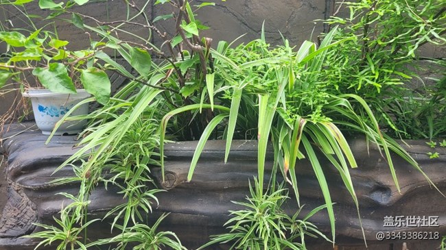 【那年初秋】小巷子