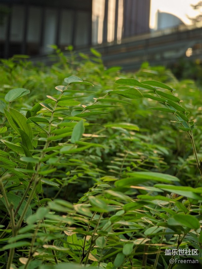 【長(zhǎng)焦距下的城市之美】不同角度看城市